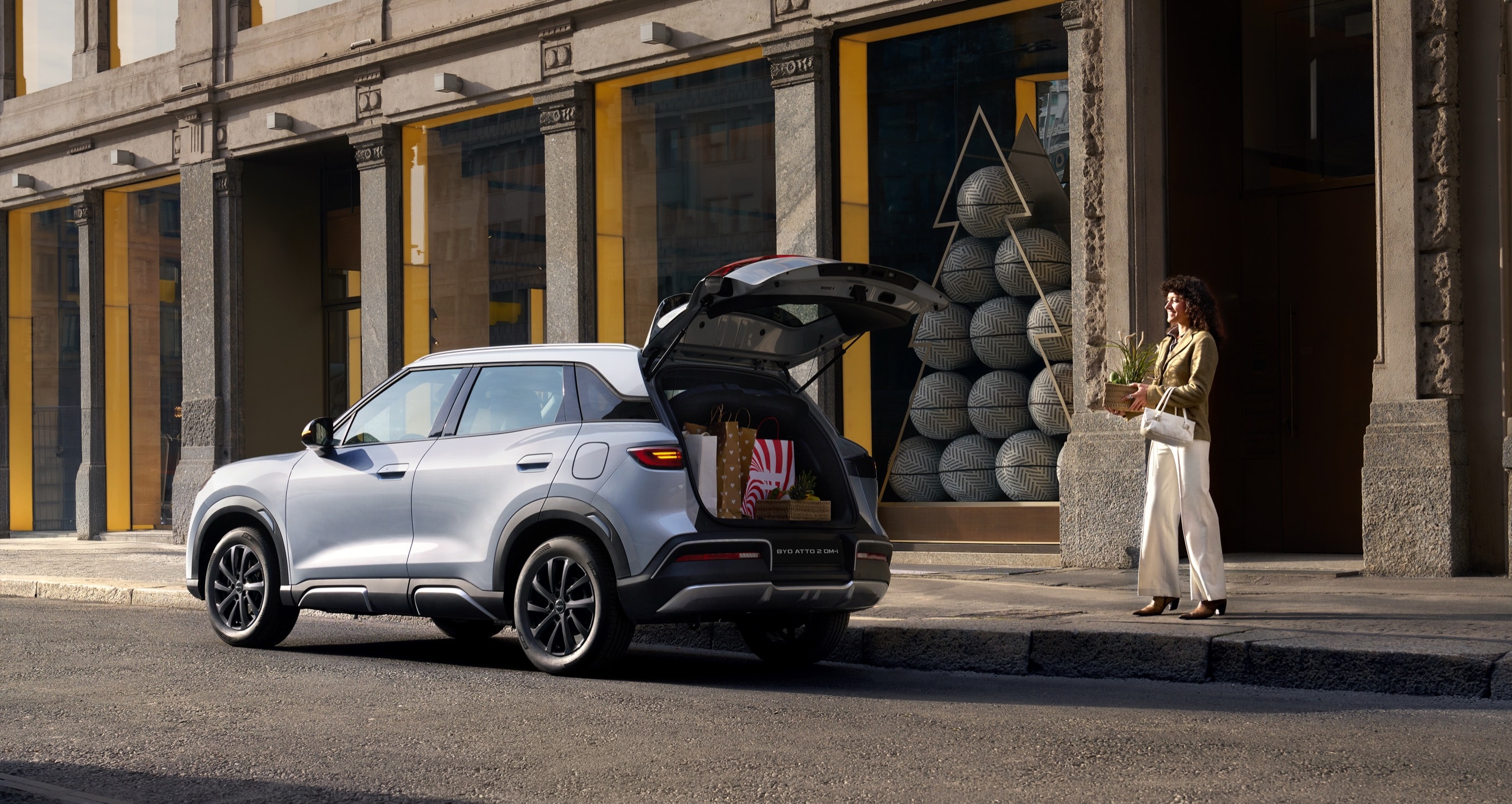 BYD ATTO 2 DM-i — view 6