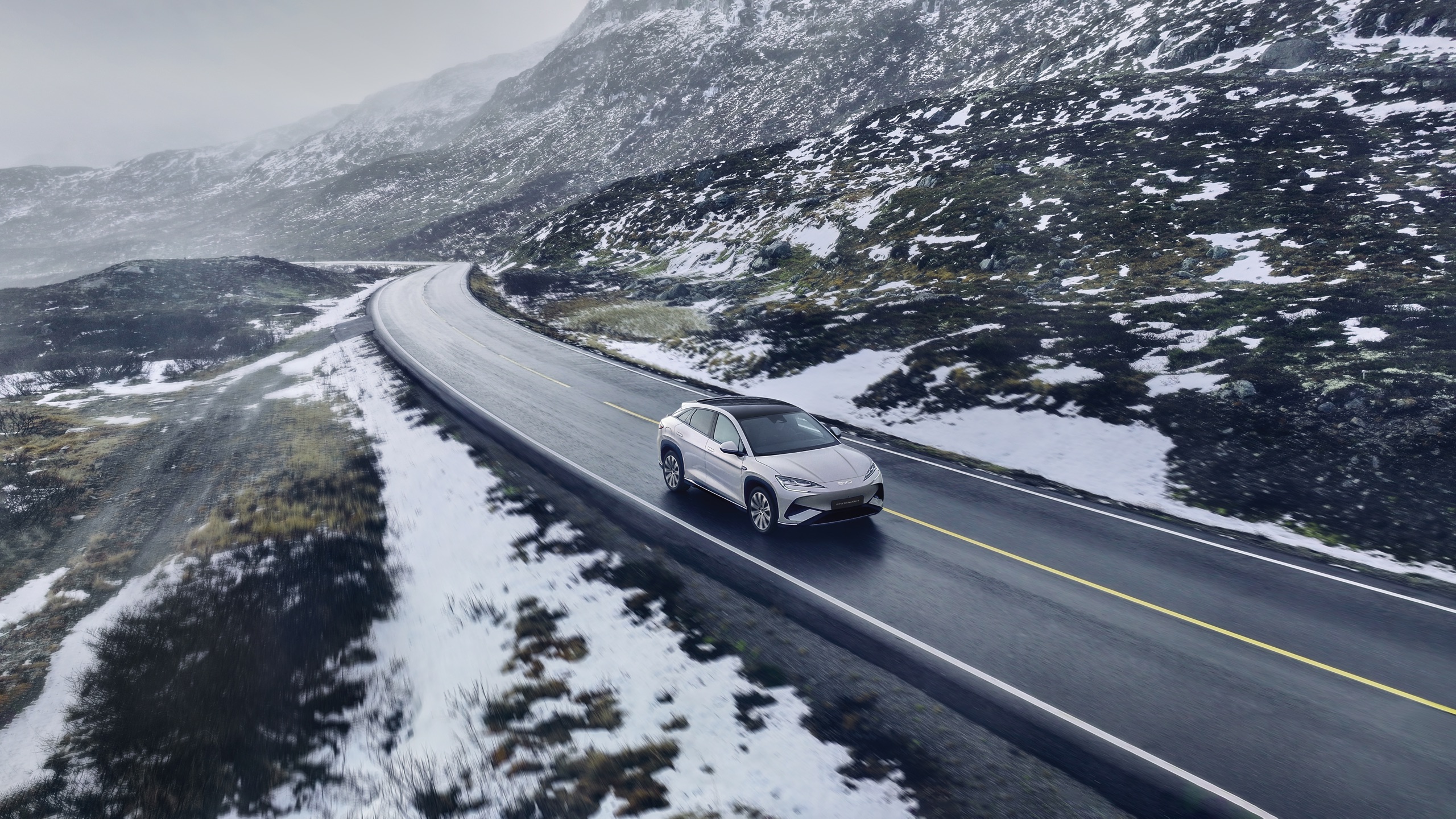 BYD SEALION 7 on the road